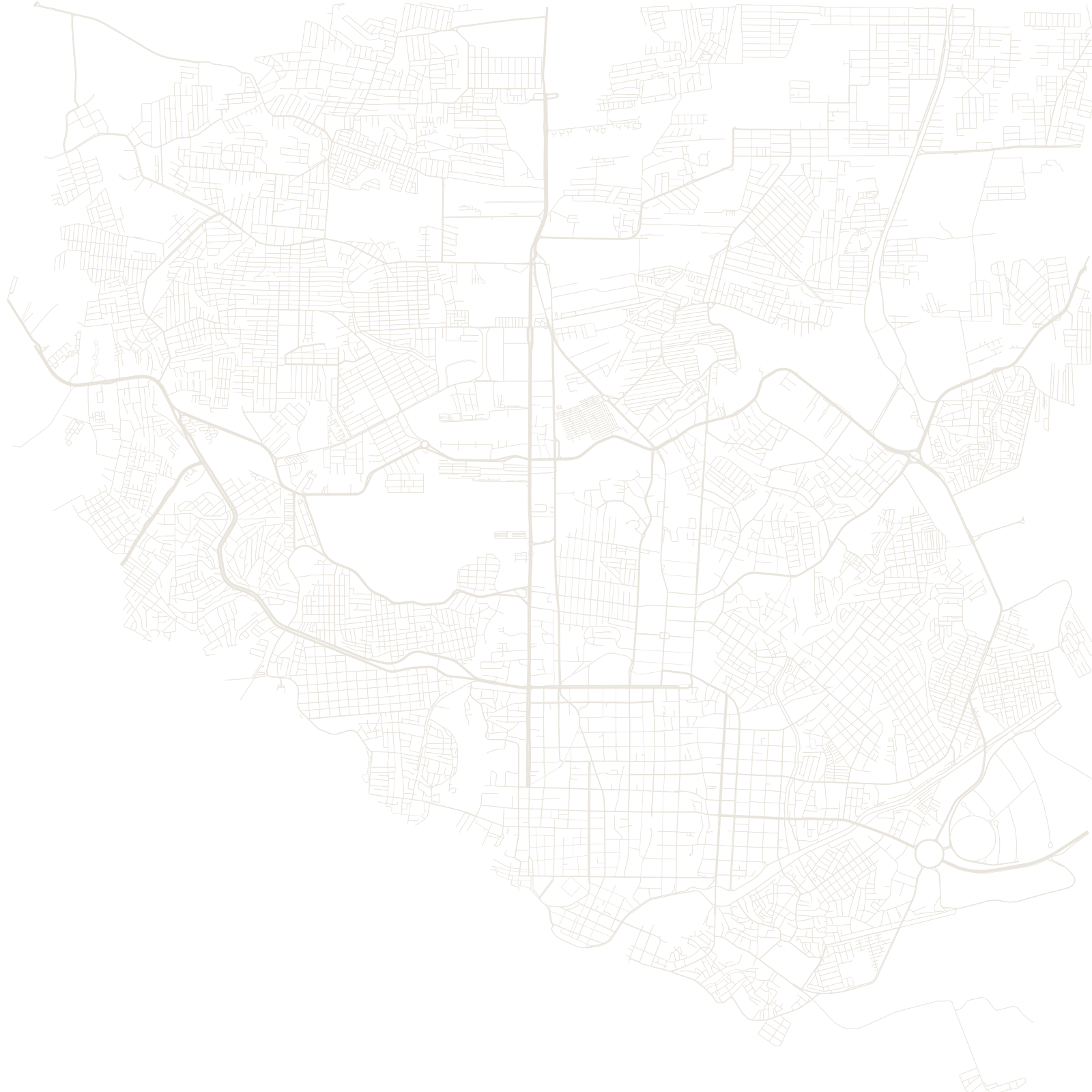 Manaus street network