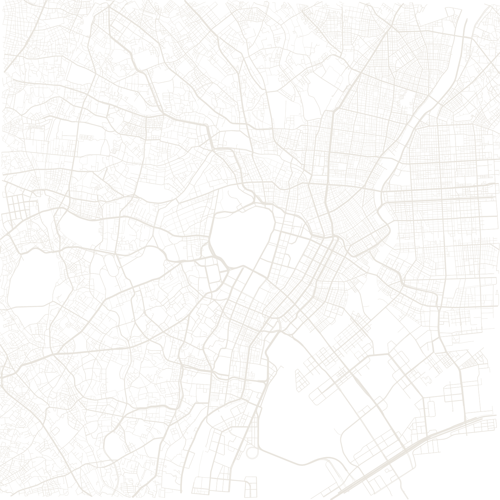 Tokyo street network